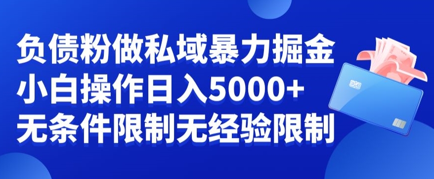 负债粉私域暴力掘金，小白操作入5000，无经验限制，无条件限制九峰网创-分享创业资讯-最新网络创业项目-分享最新赚钱项目九峰网创