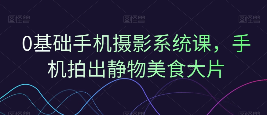 0基础手机摄影系统课，手机拍出静物美食大片九峰网创-分享创业资讯-最新网络创业项目-分享最新赚钱项目九峰网创