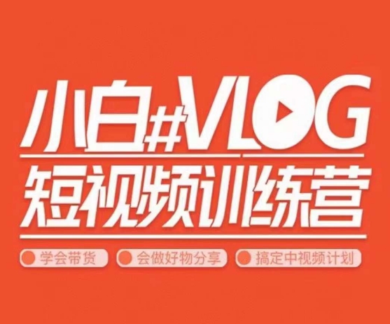 小呆说视–小白VLOG短视频训练营，学会带货、好物、直播、中视频九峰网创-分享创业资讯-最新网络创业项目-分享最新赚钱项目九峰网创