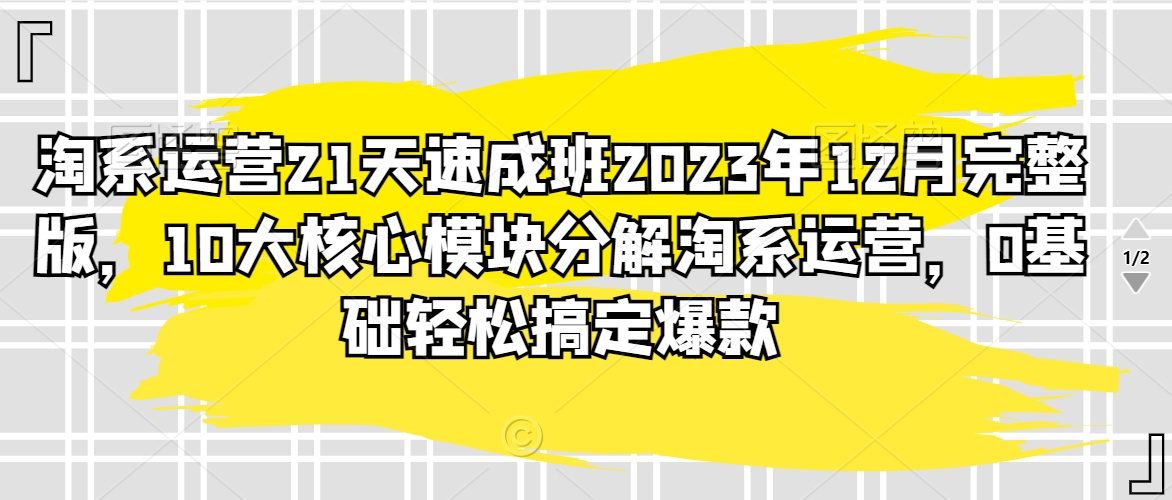 淘系运营21天速成班2023年12月完整版，10大核心模块分解淘系运营，0基础轻松搞定爆款九峰网创-分享创业资讯-最新网络创业项目-分享最新赚钱项目九峰网创