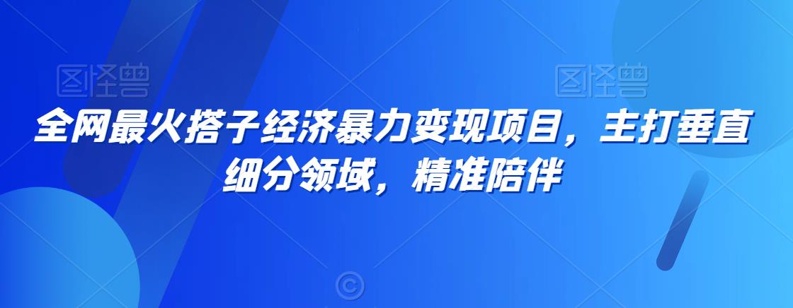 全网最火搭子经济暴力变现项目，主打垂直细分领域，精准陪伴九峰网创-分享创业资讯-最新网络创业项目-分享最新赚钱项目九峰网创