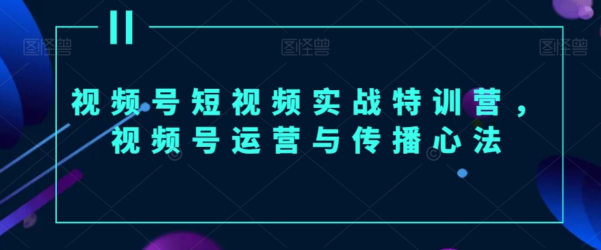 视频号短视频实战特训营，视频号运营与传播心法九峰网创-分享创业资讯-最新网络创业项目-分享最新赚钱项目九峰网创