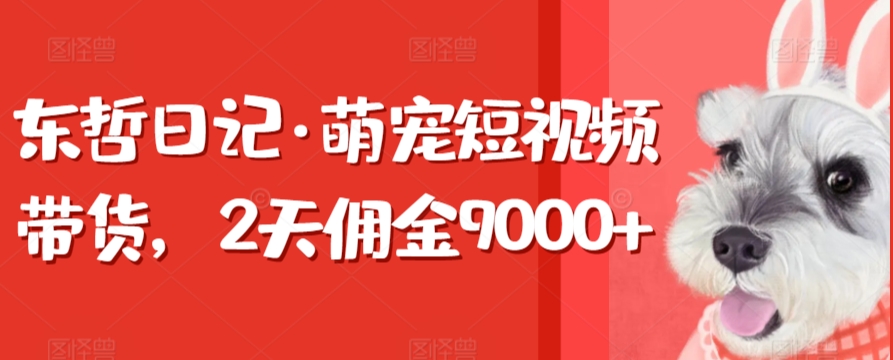 东哲日记·萌宠短视频带货，2天佣金9000+九峰网创-分享创业资讯-最新网络创业项目-分享最新赚钱项目九峰网创