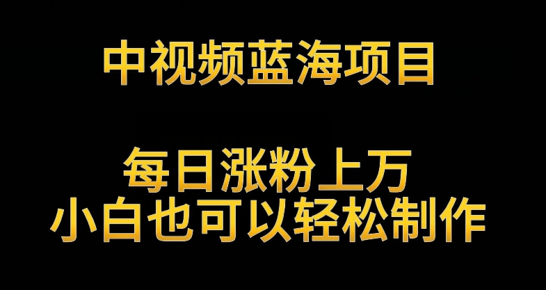 中视频蓝海项目，解读英雄人物生平，每日涨粉上万，小白也可以轻松制作，月入过万不是梦九峰网创-分享创业资讯-最新网络创业项目-分享最新赚钱项目九峰网创