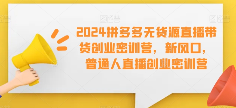 2024拼多多无货源直播带货创业密训营，新风口，普通人直播创业密训营九峰网创-分享创业资讯-最新网络创业项目-分享最新赚钱项目九峰网创