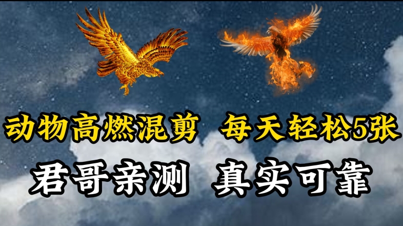 动物超燃混剪，每天轻松5张，剪辑简单大家爱看九峰网创-分享创业资讯-最新网络创业项目-分享最新赚钱项目九峰网创