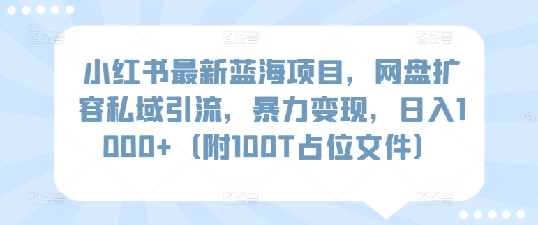 小红书最新蓝海项目，网盘扩容私域引流，暴力变现，日入1000+（附100T占位文件）九峰网创-分享创业资讯-最新网络创业项目-分享最新赚钱项目九峰网创