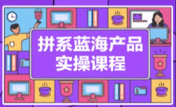 拼系冷门蓝海产品实操课程，从注册店铺到选品上架到流量维护环环相扣九峰网创-分享创业资讯-最新网络创业项目-分享最新赚钱项目九峰网创
