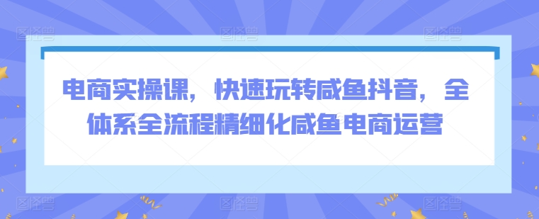电商实操课，快速玩转咸鱼抖音，全体系全流程精细化咸鱼电商运营九峰网创-分享创业资讯-最新网络创业项目-分享最新赚钱项目九峰网创
