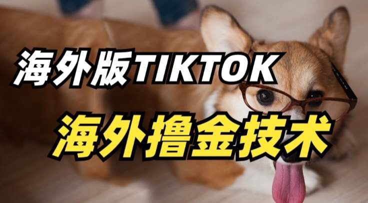 抖音海外版tiktok撸金技术，这个风口行业，赚钱真的不难九峰网创-分享创业资讯-最新网络创业项目-分享最新赚钱项目九峰网创