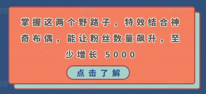 掌握这两个野路子，特效结合神奇布偶，能让粉丝数量飙升，至少增长 5000九峰网创-分享创业资讯-最新网络创业项目-分享最新赚钱项目九峰网创