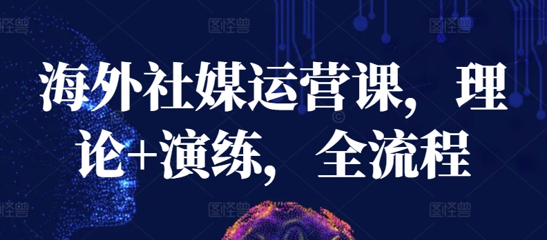 海外社媒运营课，理论+演练，全流程九峰网创-分享创业资讯-最新网络创业项目-分享最新赚钱项目九峰网创