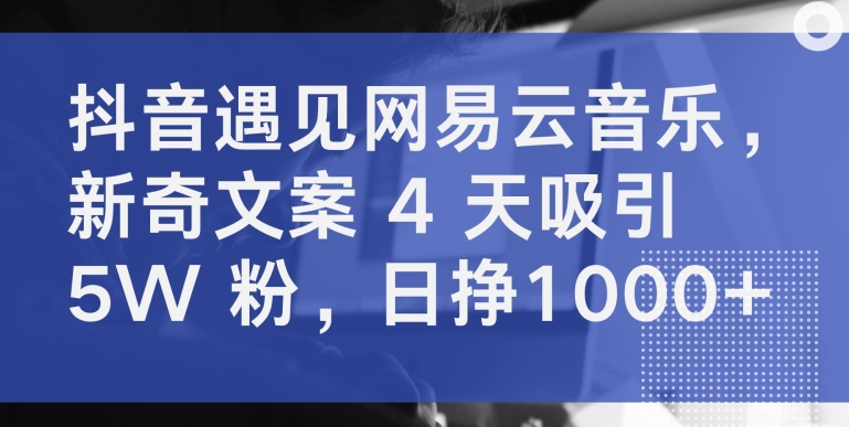 抖音遇见网易云音乐，新奇文案 4 天吸引 5W 粉，日挣1000+九峰网创-分享创业资讯-最新网络创业项目-分享最新赚钱项目九峰网创