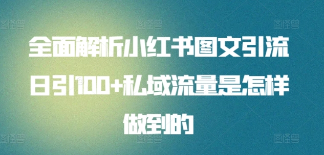 全面解析小红书图文引流日引100+私域流量是怎样做到的九峰网创-分享创业资讯-最新网络创业项目-分享最新赚钱项目九峰网创