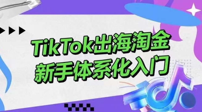 TikTok出海淘金，新手体系化入门，零基础快速入门，掌握短视频、直播带货等引流到变现的知识九峰网创-分享创业资讯-最新网络创业项目-分享最新赚钱项目九峰网创