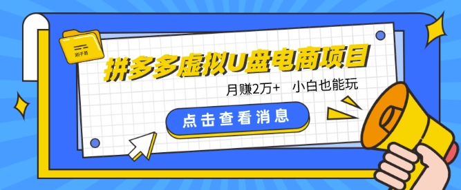 拼多多虚拟U盘电商红利项目：月赚2万+，新手小白也能玩九峰网创-分享创业资讯-最新网络创业项目-分享最新赚钱项目九峰网创