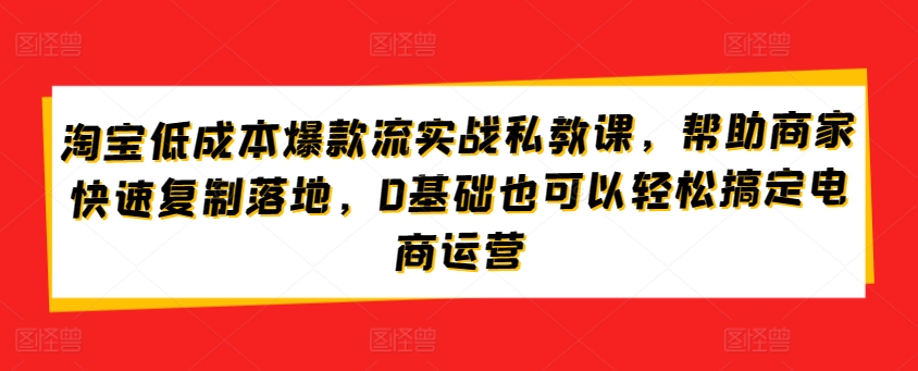 淘宝低成本爆款流实战私教课，帮助商家快速复制落地，0基础也可以轻松搞定电商运营九峰网创-分享创业资讯-最新网络创业项目-分享最新赚钱项目九峰网创