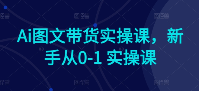Ai图文带货实操课，新手从0-1 实操课九峰网创-分享创业资讯-最新网络创业项目-分享最新赚钱项目九峰网创