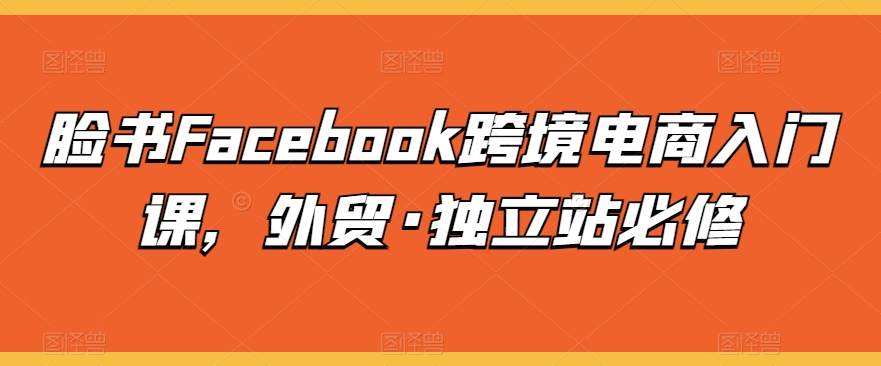 脸书Facebook跨境电商入门课，外贸·独立站必修九峰网创-分享创业资讯-最新网络创业项目-分享最新赚钱项目九峰网创