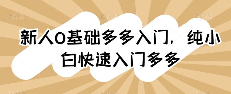新人0基础多多入门，​纯小白快速入门多多九峰网创-分享创业资讯-最新网络创业项目-分享最新赚钱项目九峰网创