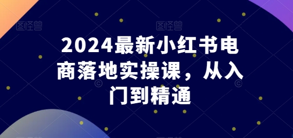 2024最新小红书电商落地实操课，从入门到精通九峰网创-分享创业资讯-最新网络创业项目-分享最新赚钱项目九峰网创