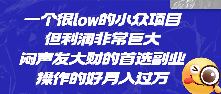 [抖音快手]一个很low的小众项目，但利润非常巨大，闷声发大财的首选副业，操作的好月入过万九峰网创-分享创业资讯-最新网络创业项目-分享最新赚钱项目九峰网创