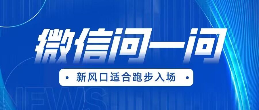全网首发微信问一问新风口变现项目（价值1999元）九峰网创-分享创业资讯-最新网络创业项目-分享最新赚钱项目九峰网创
