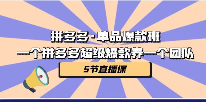 拼多多·单品爆款班，一个拼多多超级爆款养一个团队（5节直播课）九峰网创-分享创业资讯-最新网络创业项目-分享最新赚钱项目九峰网创