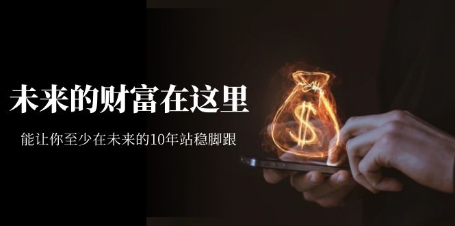 某收费文章《未来的财富在这里》能让你至少在未来的10年站稳脚跟九峰网创-分享创业资讯-最新网络创业项目-分享最新赚钱项目九峰网创