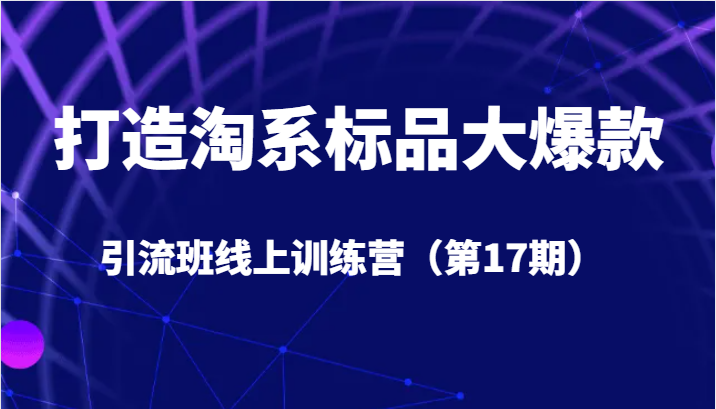 打造淘系标品大爆款引流班线上训练营（第17期）5天直播授课+1个月答疑九峰网创-分享创业资讯-最新网络创业项目-分享最新赚钱项目九峰网创