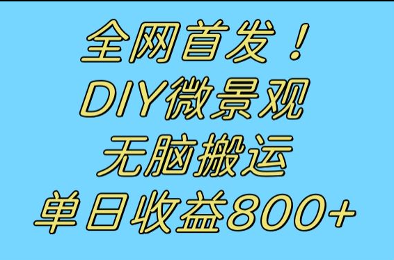 全网首发冷门赛道！DIY微景观，无脑搬运视频，日收益800+九峰网创-分享创业资讯-最新网络创业项目-分享最新赚钱项目九峰网创