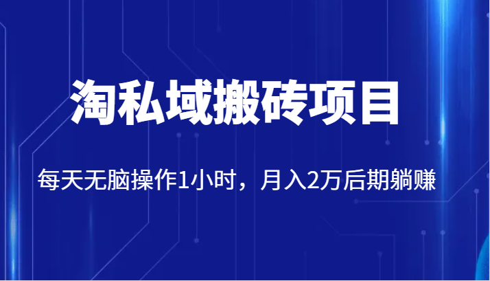 价值2980的淘私域搬砖项目，每天无脑操作1小时，月入2万后期躺赚九峰网创-分享创业资讯-最新网络创业项目-分享最新赚钱项目九峰网创