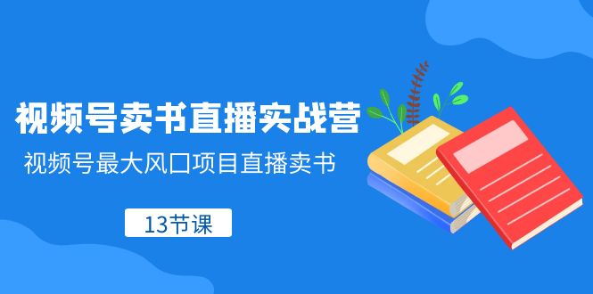 视频号卖书直播实战营，视频号最大风囗项目直播卖书（13节课）九峰网创-分享创业资讯-最新网络创业项目-分享最新赚钱项目九峰网创