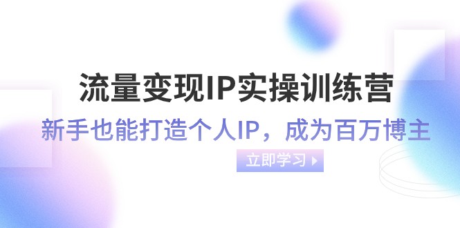 流量变现IP实操训练营：新手也能打造个人IP，成为百万 博主（46节课）九峰网创-分享创业资讯-最新网络创业项目-分享最新赚钱项目九峰网创