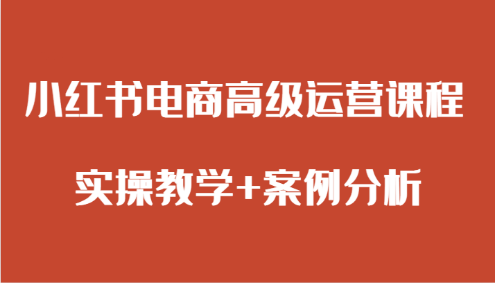 小红书电商高级运营课程 实操教学+案例分析九峰网创-分享创业资讯-最新网络创业项目-分享最新赚钱项目九峰网创