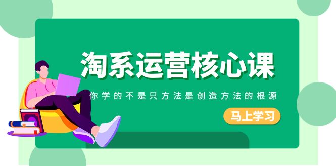 淘系运营核心课，你学的不只是方法而是创造方法的根源（190节课）九峰网创-分享创业资讯-最新网络创业项目-分享最新赚钱项目九峰网创