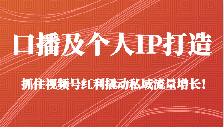 口播及个人IP打造，抓住视频号红利撬动私域流量增长！（45节课）九峰网创-分享创业资讯-最新网络创业项目-分享最新赚钱项目九峰网创