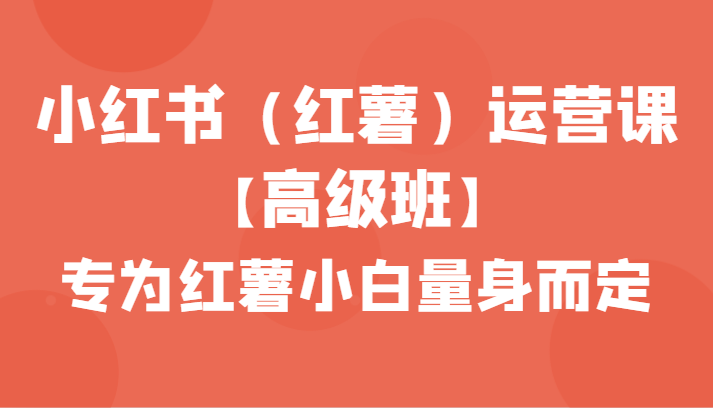 小红书（红薯）运营课【高级班】，专为红薯小白量身而定（42节课）九峰网创-分享创业资讯-最新网络创业项目-分享最新赚钱项目九峰网创