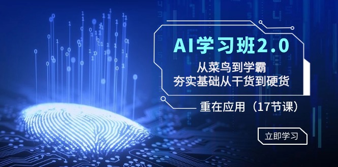 AI学习班2.0：从菜鸟到学霸，夯实基础从干货到硬货，重在应用（17节课）九峰网创-分享创业资讯-最新网络创业项目-分享最新赚钱项目九峰网创