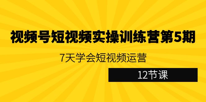 视频号短视频实操训练营第5期：7天学会短视频运营（12节课）九峰网创-分享创业资讯-最新网络创业项目-分享最新赚钱项目九峰网创