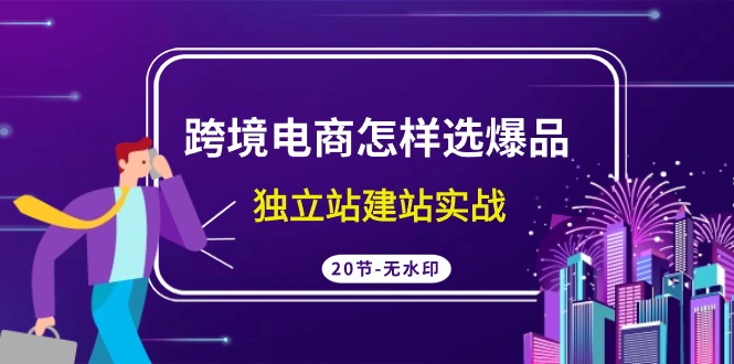 跨境电商怎样选爆品，独立站建站实战（20节高清课）九峰网创-分享创业资讯-最新网络创业项目-分享最新赚钱项目九峰网创