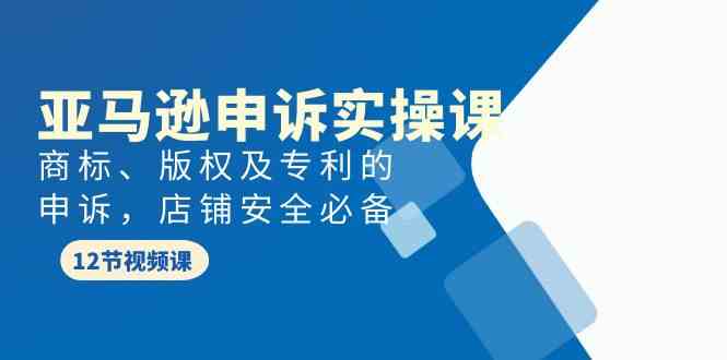 亚马逊申诉实战课，商标、版权及专利的申诉，店铺安全必备九峰网创-分享创业资讯-最新网络创业项目-分享最新赚钱项目九峰网创