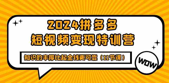 2024拼多多短视频变现特训营，知识的丰厚比起金钱更可靠（11节课）九峰网创-分享创业资讯-最新网络创业项目-分享最新赚钱项目九峰网创