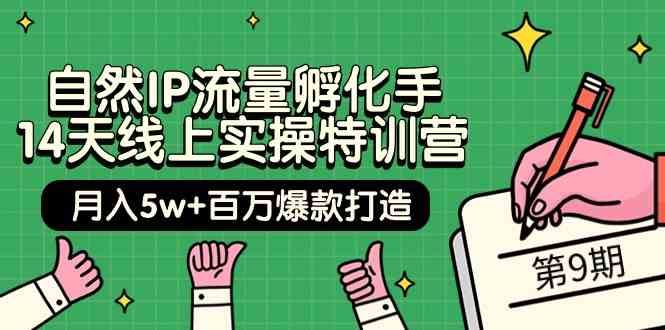 自然IP流量孵化手14天线上实操特训营【第9期】月入5w+百万爆款打造 (74节)九峰网创-分享创业资讯-最新网络创业项目-分享最新赚钱项目九峰网创