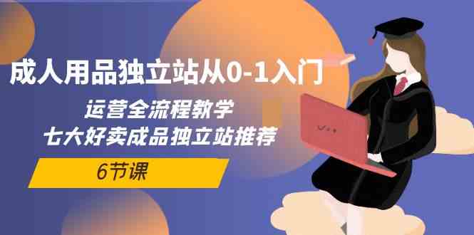 成人用品独立站从0-1入门，运营全流程教学，七大好卖成品独立站推荐（6节课）九峰网创-分享创业资讯-最新网络创业项目-分享最新赚钱项目九峰网创