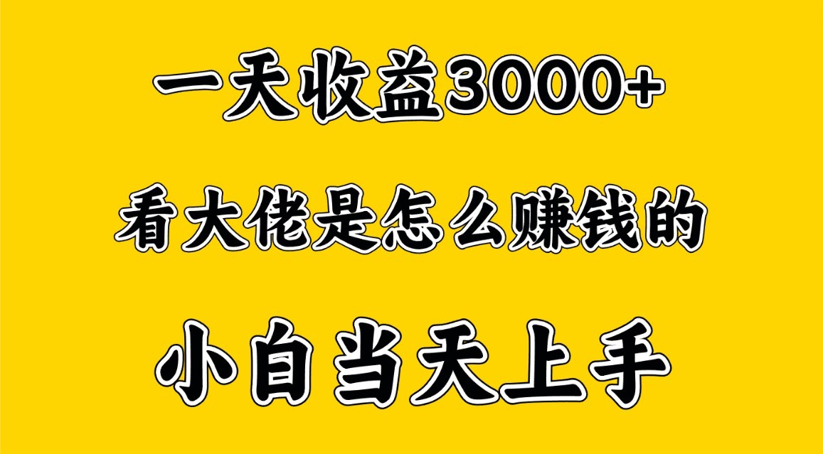 一天赚3000多，大佬是这样赚到钱的，小白当天上手，穷人翻身项目九峰网创-分享创业资讯-最新网络创业项目-分享最新赚钱项目九峰网创