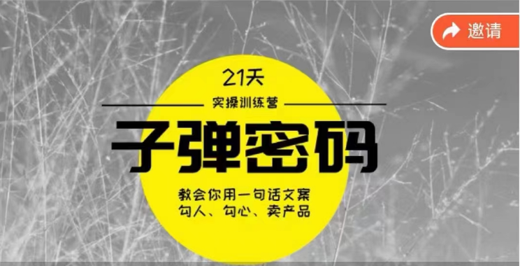 《子弹密码训练营》用一句话文案勾人勾心卖产品，21天学到顶尖文案大师策略和技巧九峰网创-分享创业资讯-最新网络创业项目-分享最新赚钱项目九峰网创
