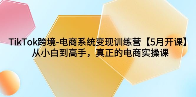 （6058期）TikTok跨境-电商系统变现训练营【5月新课】从小白到高手，真正的电商实操课九峰网创-分享创业资讯-最新网络创业项目-分享最新赚钱项目九峰网创