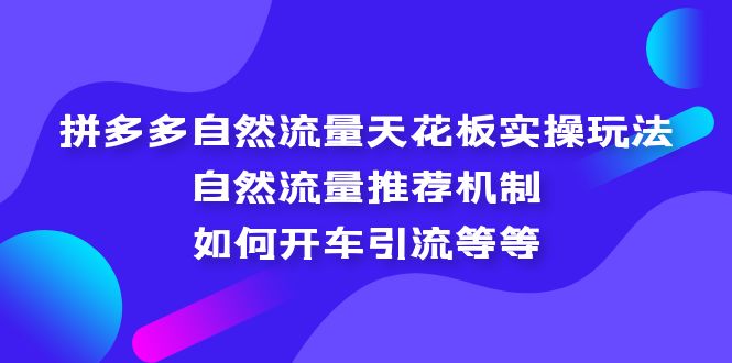 （5327期）拼多多自然流量天花板实操玩法：自然流量推荐机制，如何开车引流等等九峰网创-分享创业资讯-最新网络创业项目-分享最新赚钱项目九峰网创