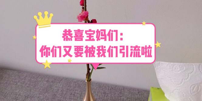 （5891期）恭喜宝妈们：你们又要被我们引流了（教程+222g资料）九峰网创-分享创业资讯-最新网络创业项目-分享最新赚钱项目九峰网创